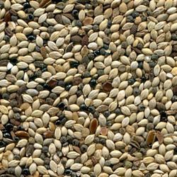 Отбракованные фотосепаратором загрязнители