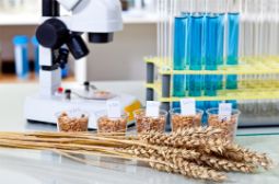 Компания «СиСорт» приняла участие в консультационном семинаре