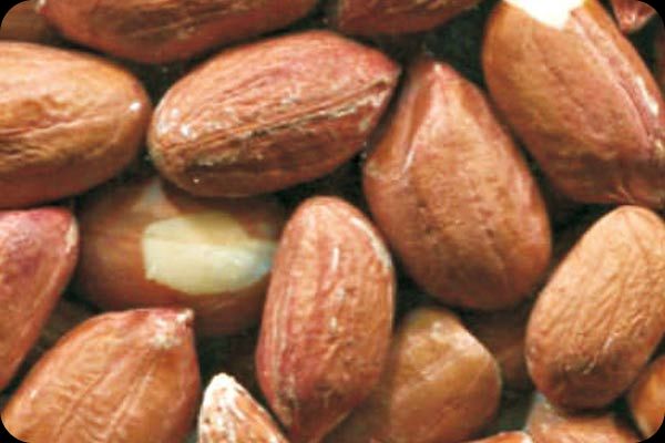 Сортировка арахиса на фотосепараторе