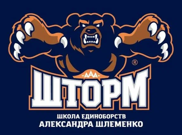 школа единоборств