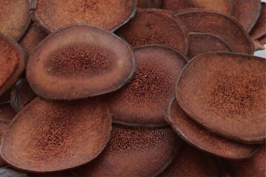 Главная - Бальзамы Алтая