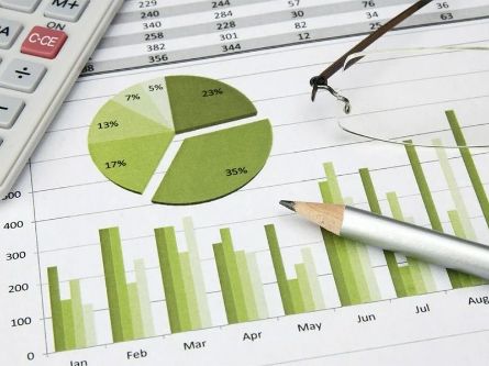 Защита налогоплательщиков от предпроверочного анализа ИФНС /налоговой