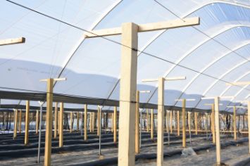 трос металлополимерный для шпалеры