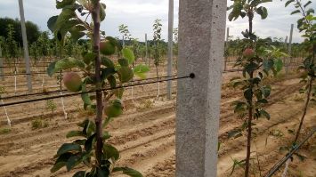 трос металлополимерный для шпалеры