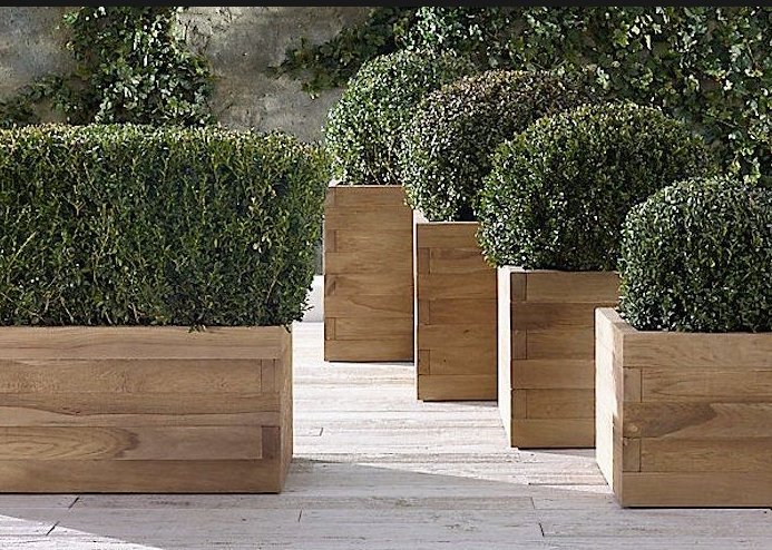 аренда клумб аренда живой изгороди