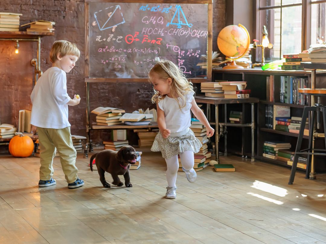 фотосъемка детского праздника