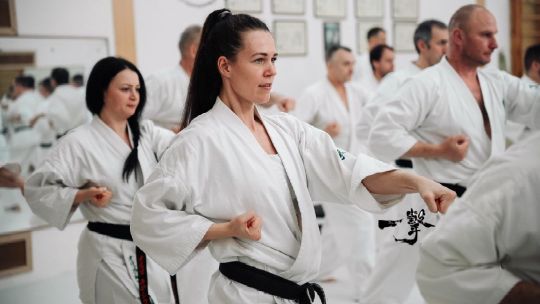 киокусинкай IKO