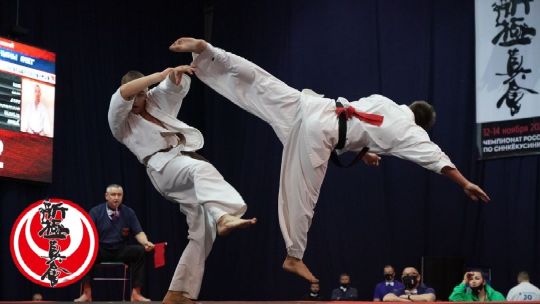 синкёкусинкай wko