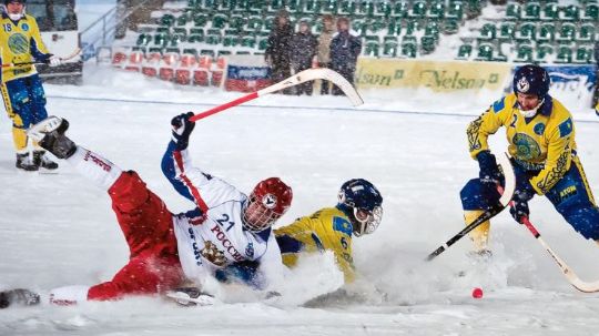 хоккей с мячом