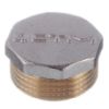 Заглушка 3.4 НР(ш) латунная