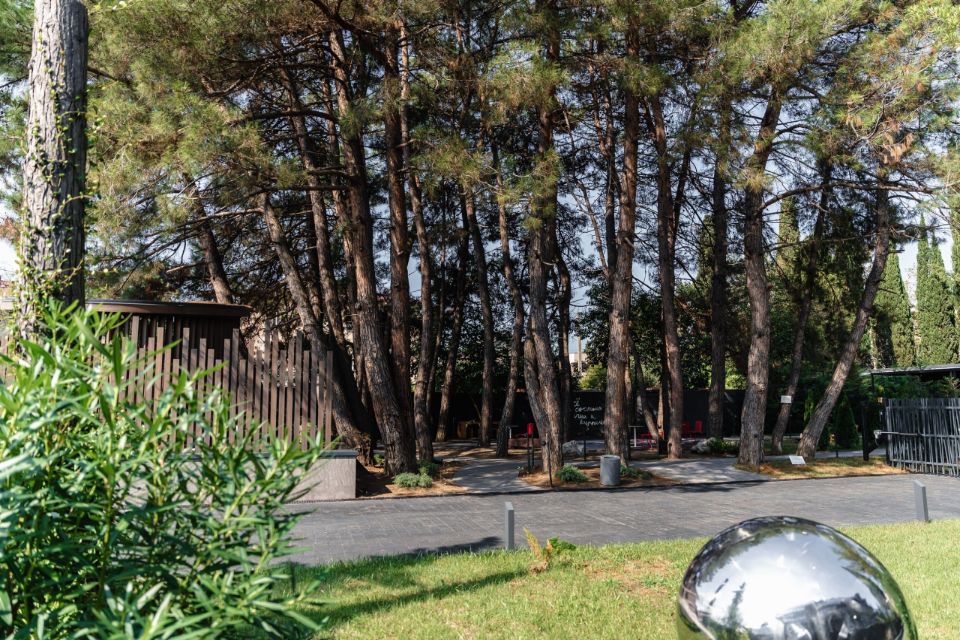 реликтовый лес