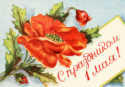 Паром Маршал Рокосовский. Загрузка кормов GINA, GINA ELITE, WILDY, XCAT и XDOG в Калининград