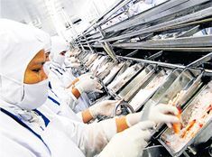 Завод «Thai Union Manufacturing Co. Ltd.»