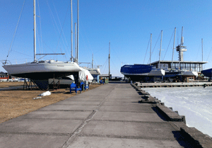 Изменения на рынке кормов в России