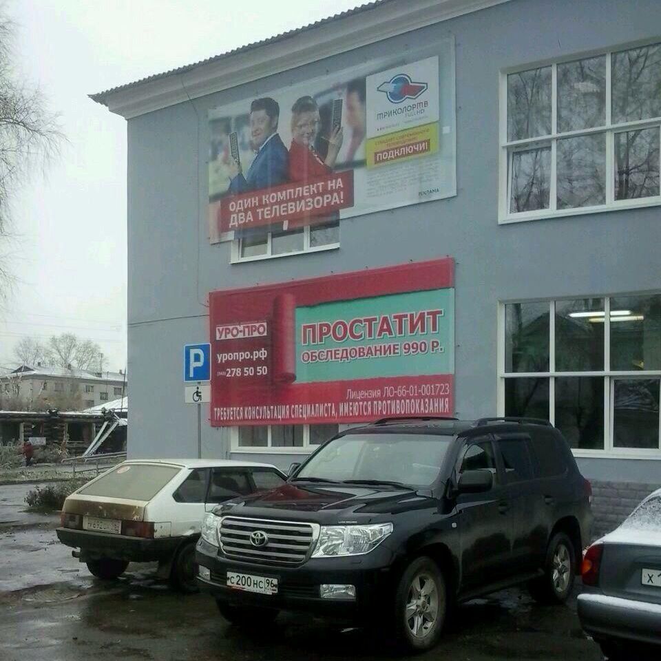 Сафронова, 19, низ