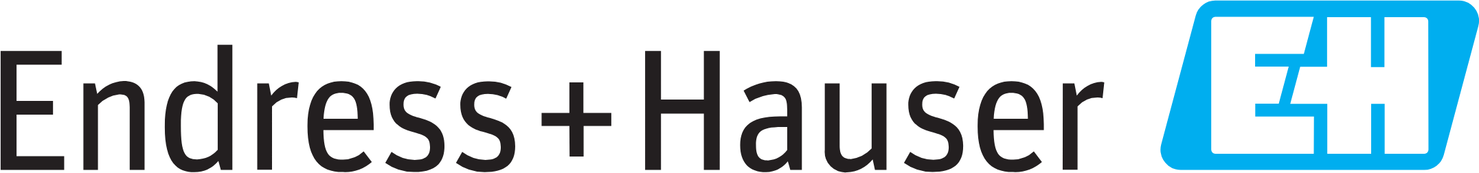 Endress+Hauser