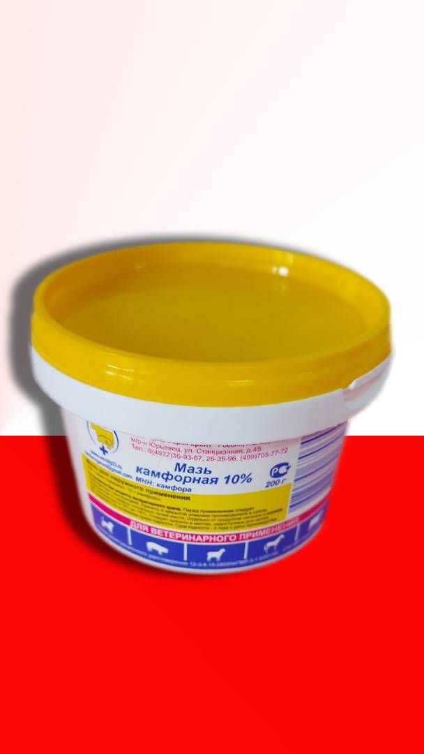 Камфорная мазь 10% 200гр