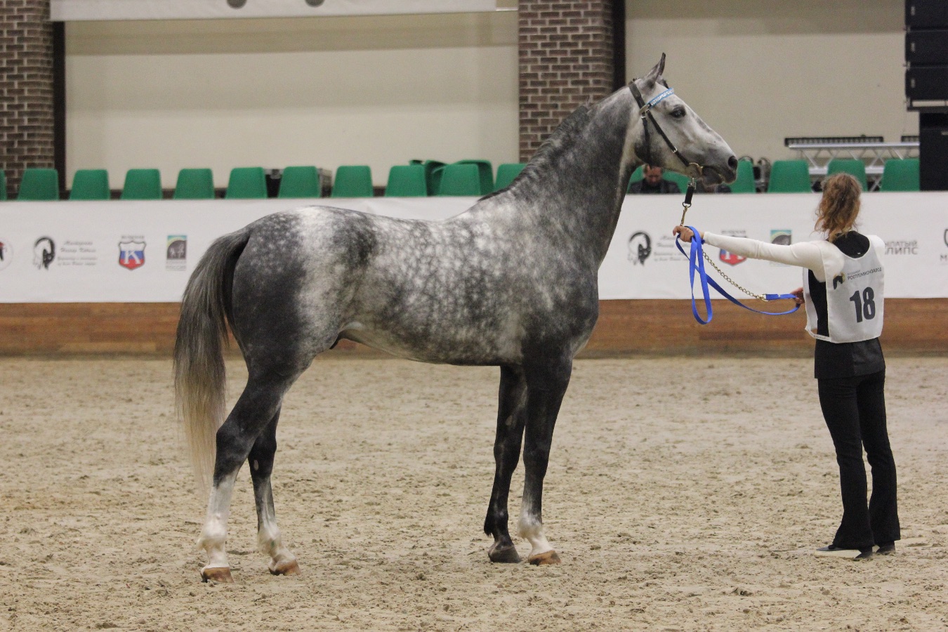 Золотая Чемпионка Кия