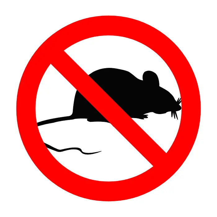 Дератизация