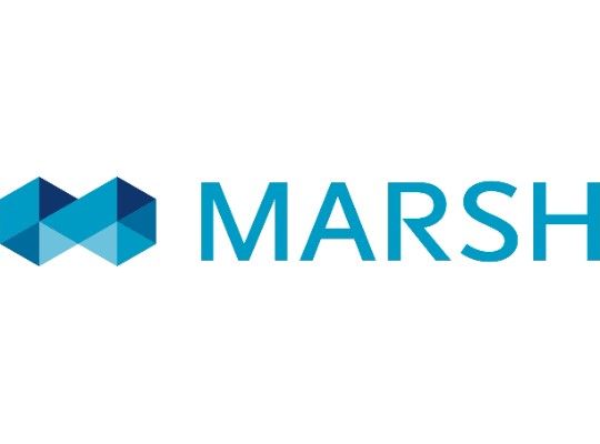 Двигатели постоянного тока Marsh Bellofram