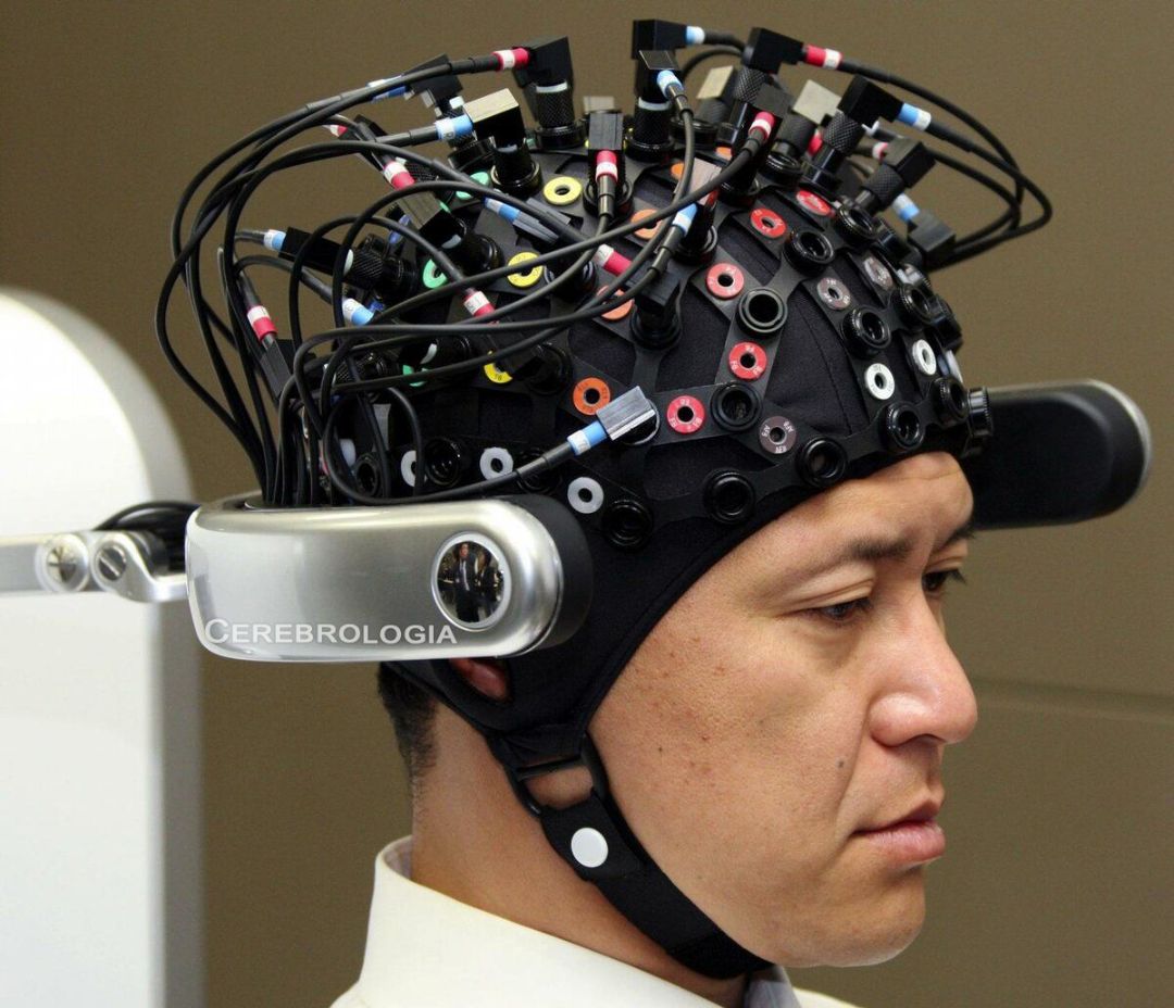 Brain retreat center of Neuroscience welcomes you