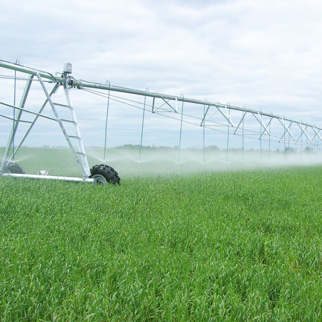 Дождевальная машина Каскад в работе