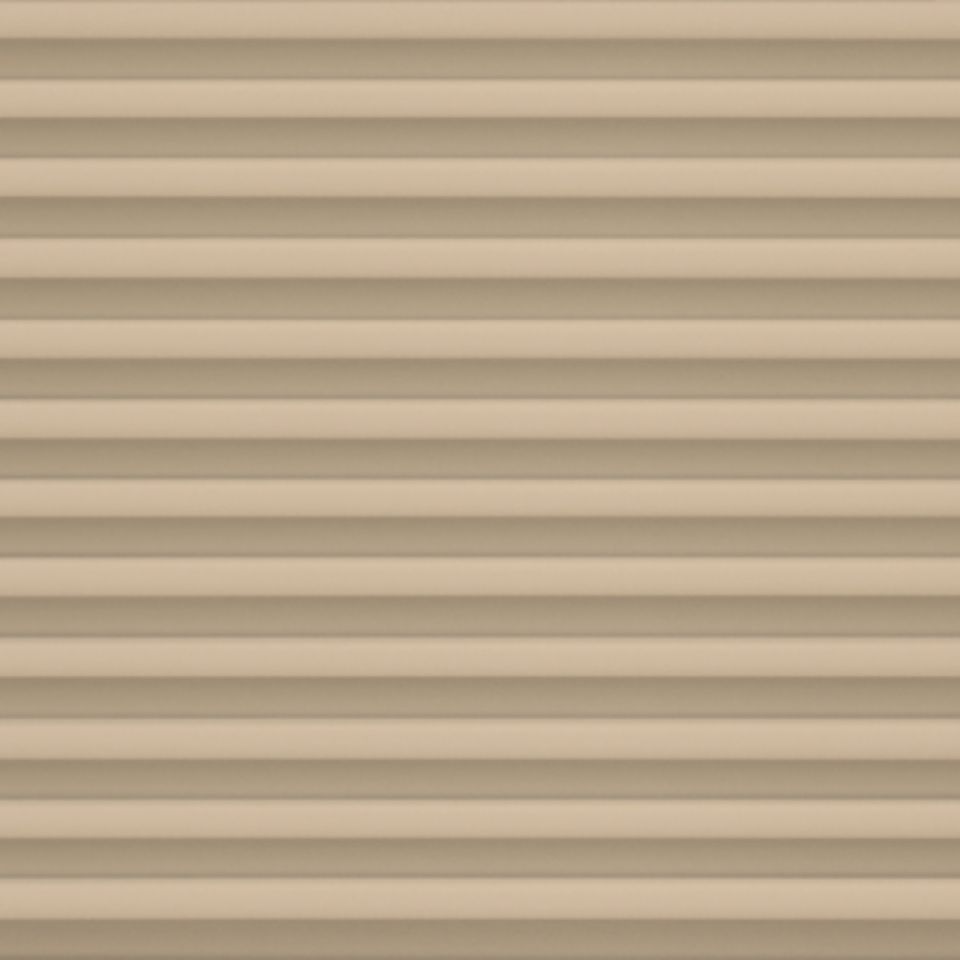 20243