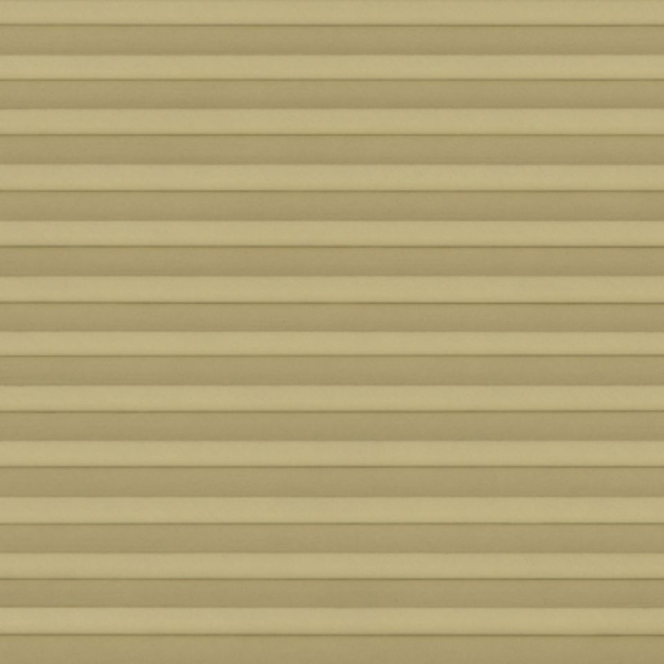 70079
