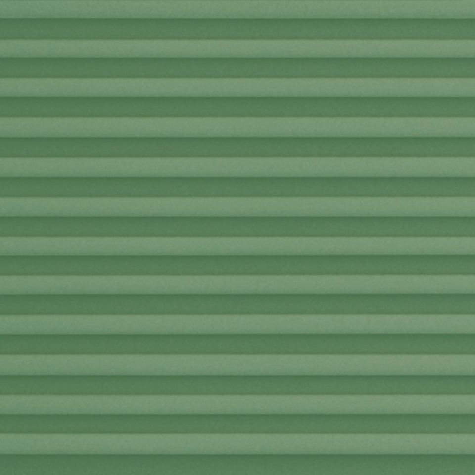 20024