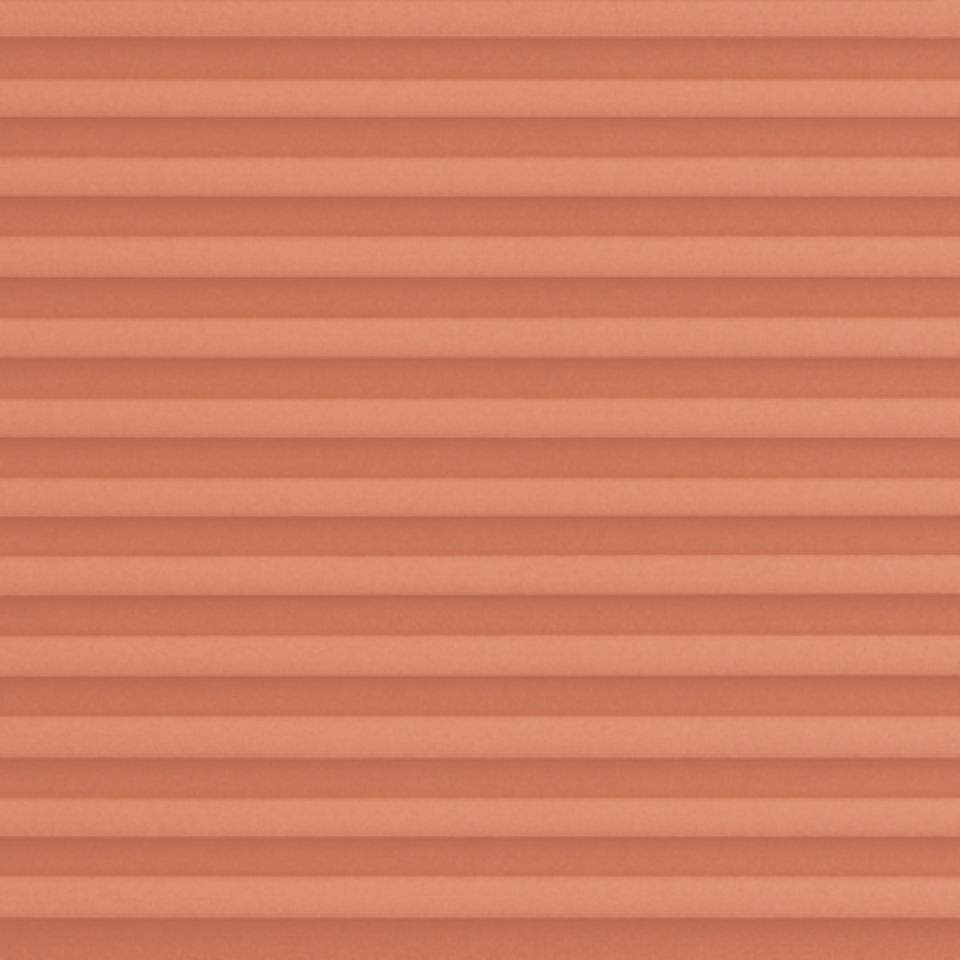20025