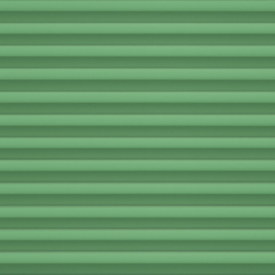 20242