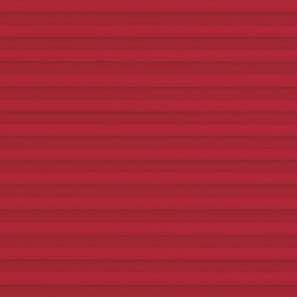 20009