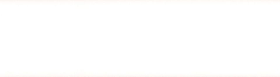 СНЕЖНО-БЕЛЫЙ