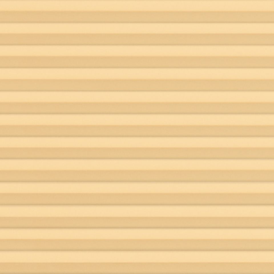 10019