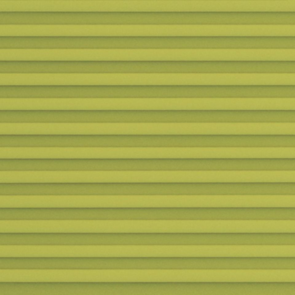 20006