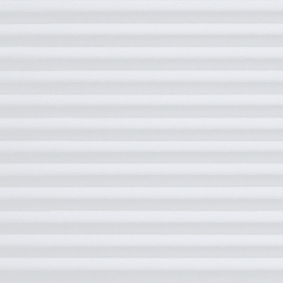 20219