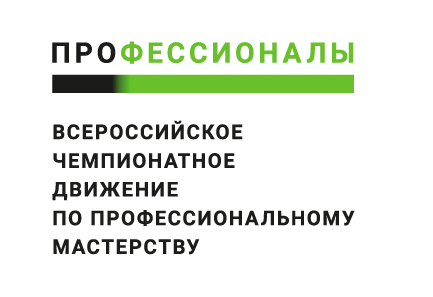 Торжественное открытие Чемпионата по профессиональному мастерству «Профессионалы» в Саратовской области