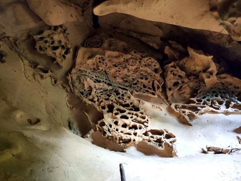 Грот Крыло Ангела 860НУМ