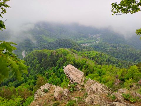 Казачья гора 1165НУМ