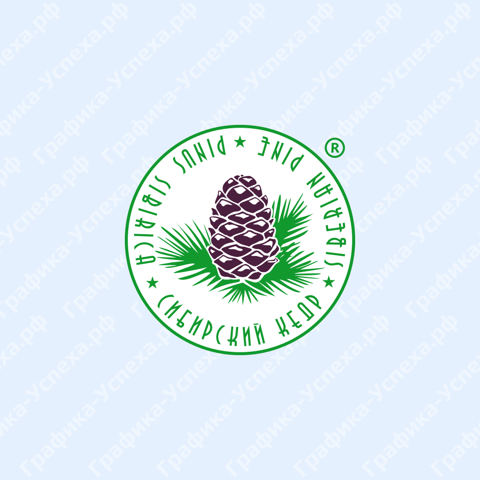 Логотип Кедр