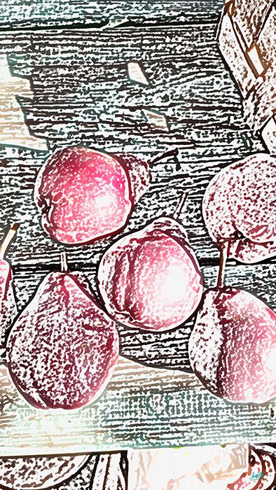 Red pears