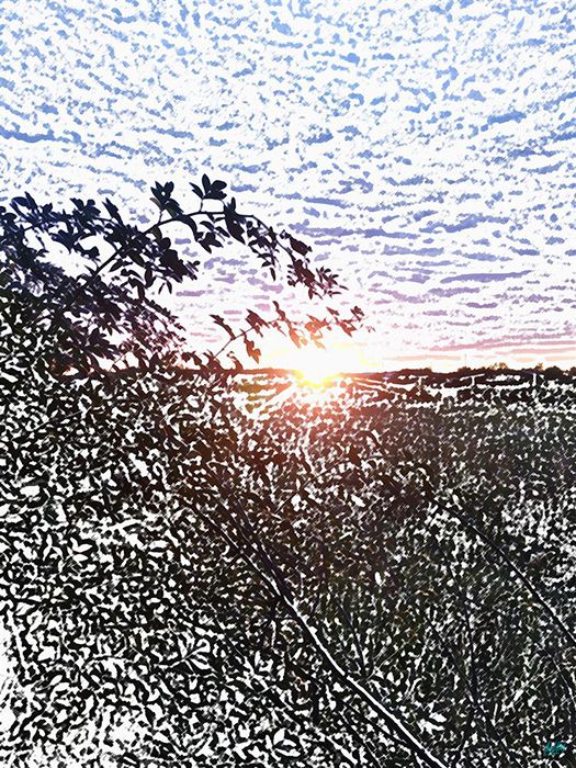 Sunset