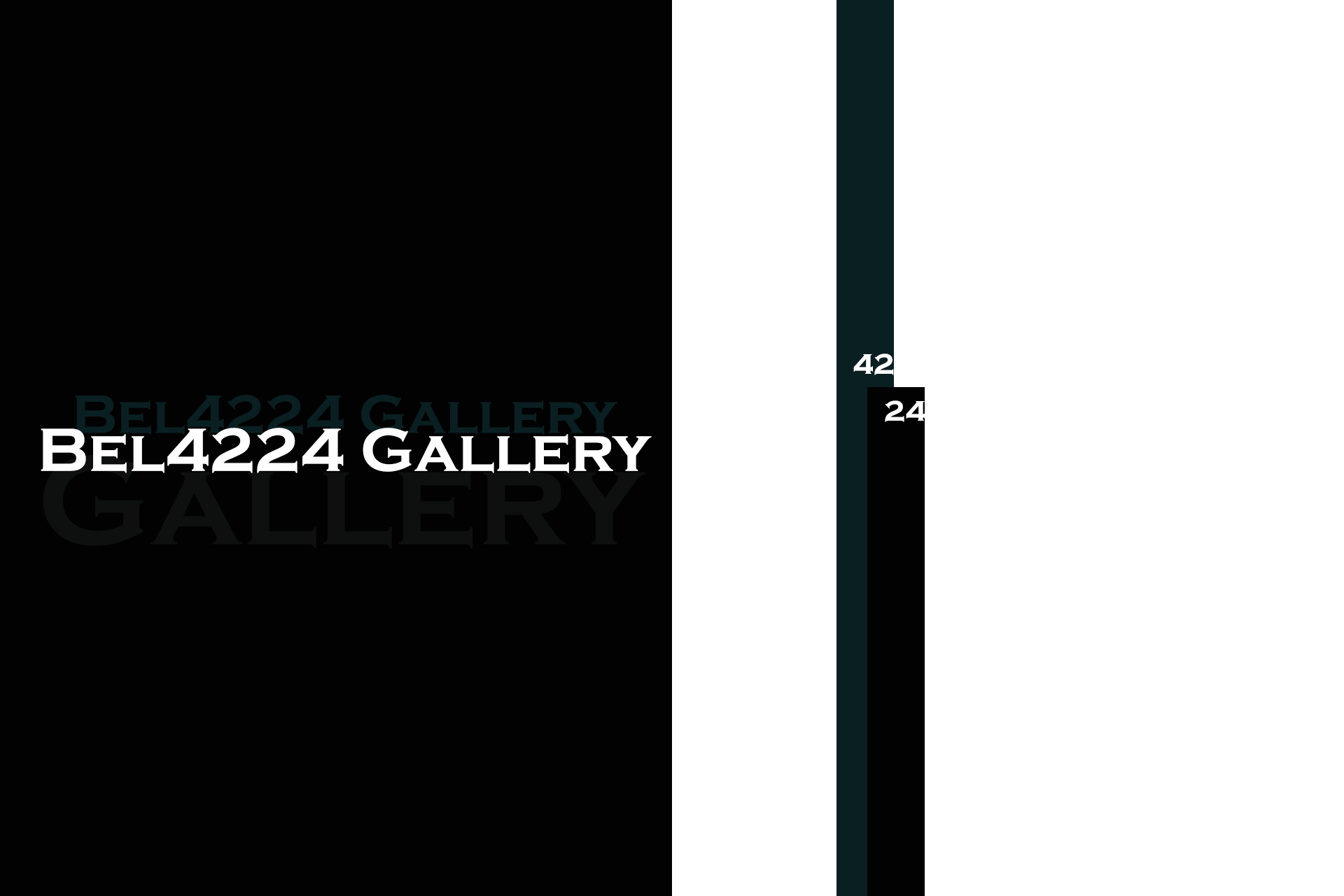Bel4224 Gallery