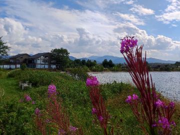 Экскурсия Байкальский заповедник, Танхой. Однодневный тур по южному побережью Байкала за 1 день из Иркутска.