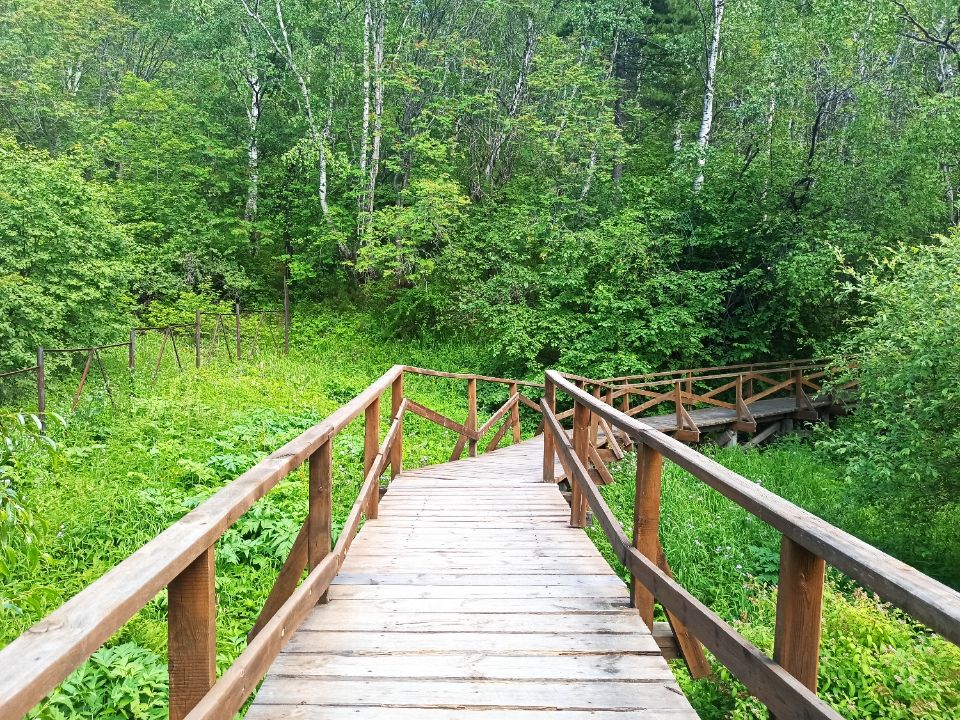 Дендропарк в Листвянке