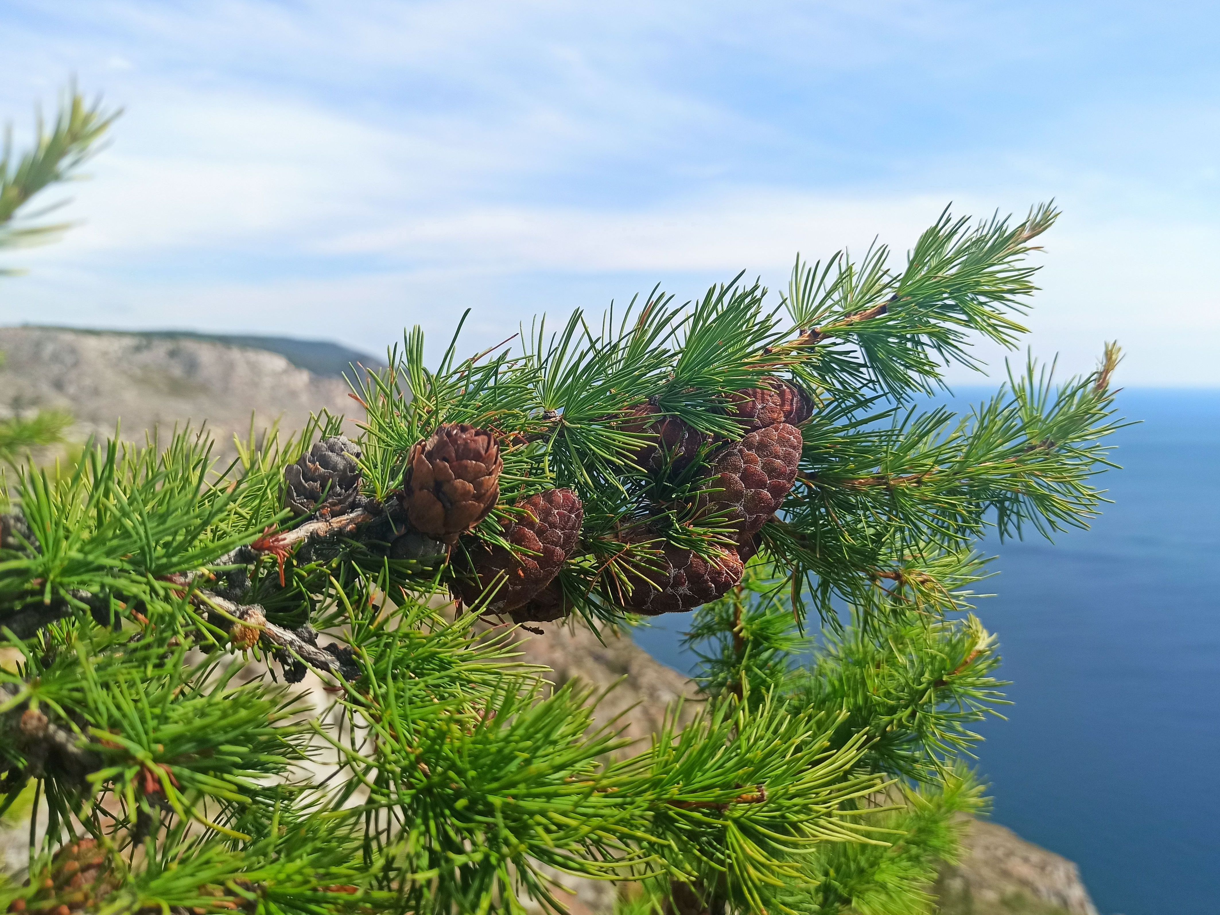 Утес Саган-Заба на Байкале летом
