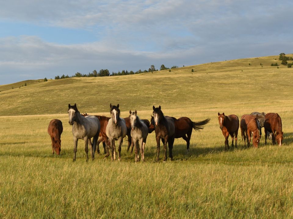 Зумбаран-Тала на Байкале