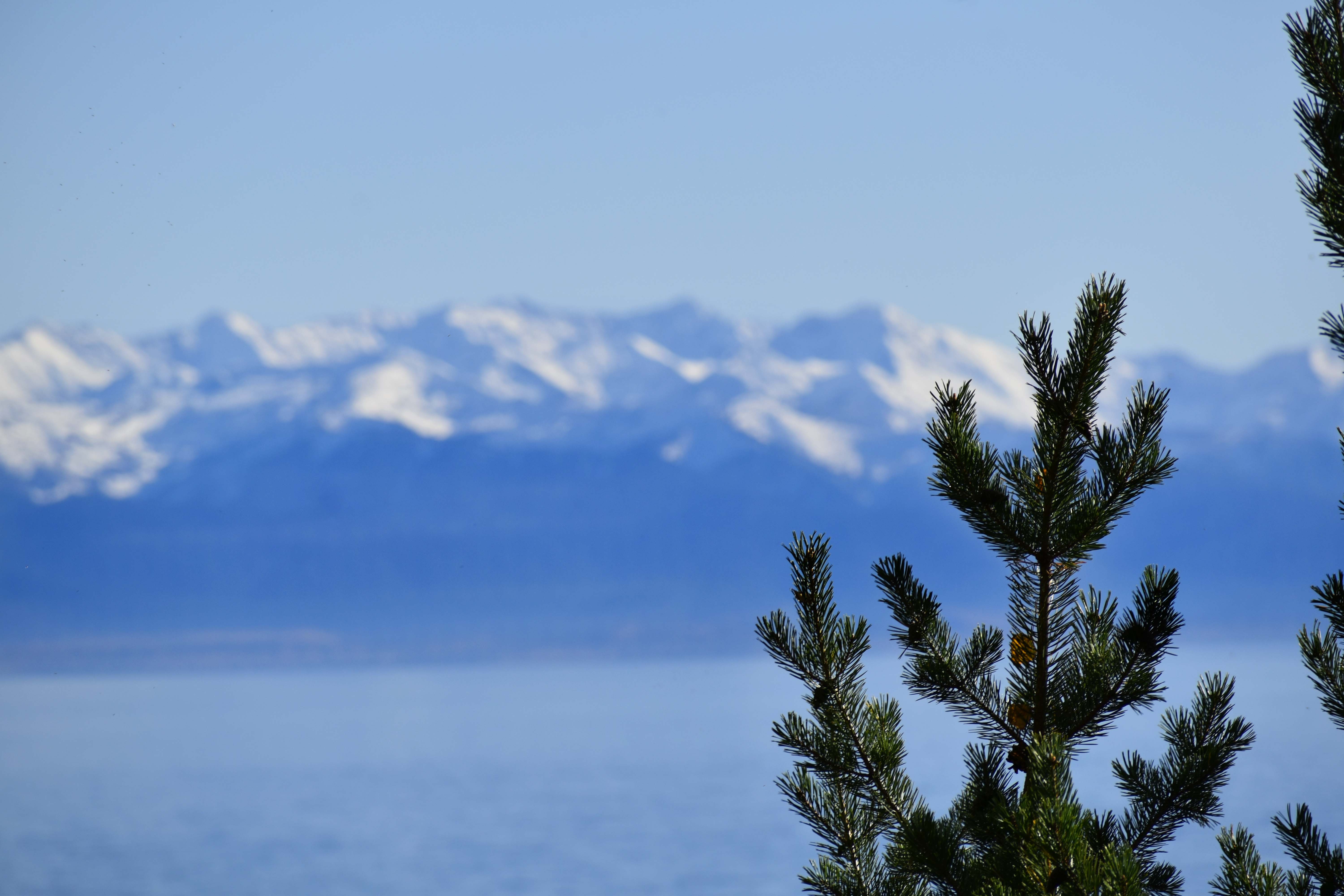 Листвянка и Тальцы. Экскурсия из Иркутска на Байкал. Вид на Хамар-Дабан.