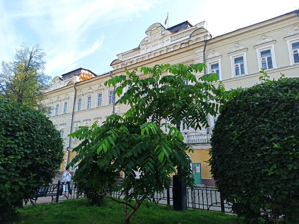 Обзорная экскурсия по городу Иркутску. Особняки купков в Иркутске. Дом купца Трапензникова.