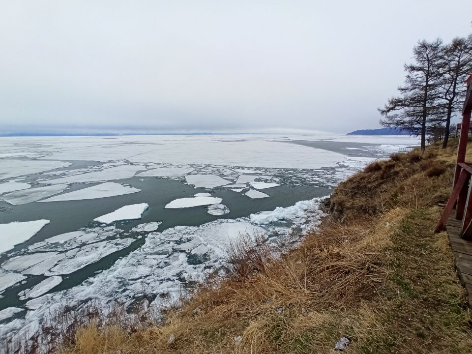 Листвянка в мае